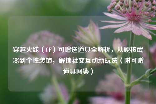 穿越火线(CF)可赠送道具全解析,从硬核武器到个性装饰,解锁社交互动新玩法(附可赠道具图鉴)