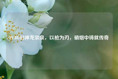 PUBG幻神龙宗泉,以枪为刃,硝烟中铸就传奇