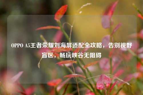 OPPO A5王者荣耀刘海屏适配全攻略,告别视野盲区,畅玩峡谷无阻碍