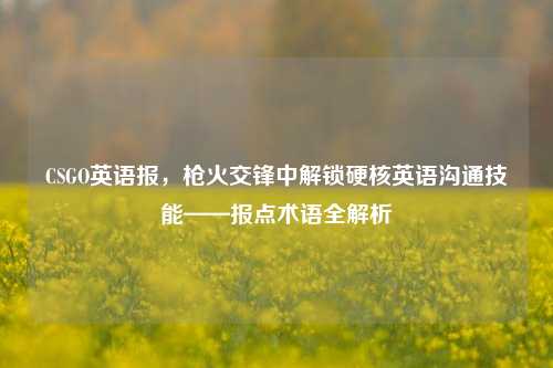 CSGO英语报，枪火交锋中解锁硬核英语沟通技能——报点术语全解析