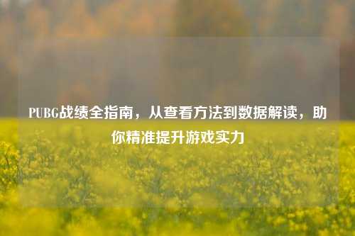PUBG战绩全指南,从查看方法到数据解读,助你精准提升游戏实力