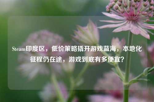 Steam印度区,低价策略撬开游戏蓝海,本地化征程仍在途,游戏到底有多便宜?