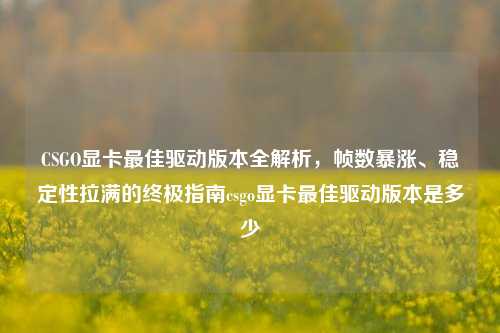 CSGO显卡最佳驱动版本全解析，帧数暴涨、稳定性拉满的终极指南csgo显卡最佳驱动版本是多少