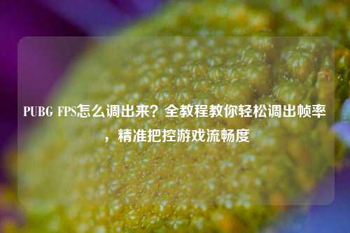 PUBG FPS怎么调出来？全教程教你轻松调出帧率，精准把控游戏流畅度