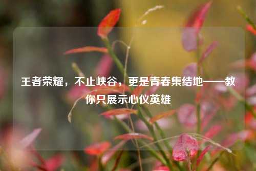 王者荣耀,不止峡谷,更是青春集结地——教你只展示心仪英雄