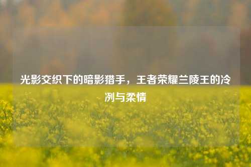 光影交织下的暗影猎手，王者荣耀兰陵王的冷冽与柔情