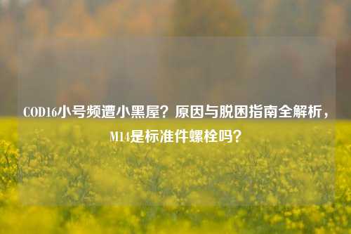 COD16小号频遭小黑屋?原因与脱困指南全解析,M14是标准件螺栓吗?