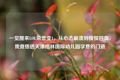 一觉醒来LOL荣誉变1,从心态崩溃到慢慢回血,我竟悟透天津格林国际幼儿园学费的门道