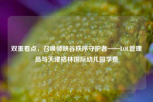 双重看点,召唤师峡谷秩序守护者——LOL管理员与天津格林国际幼儿园学费