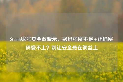 Steam账号安全双警示,密码强度不足+正确密码登不上?别让安全悬在钢丝上
