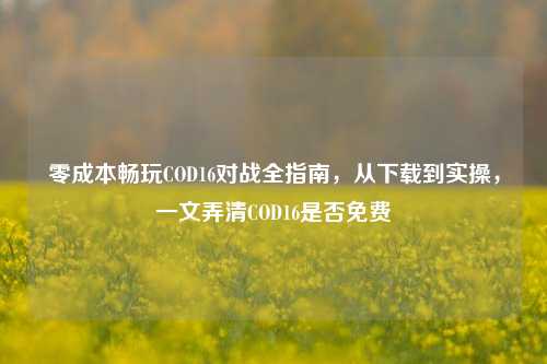 零成本畅玩COD16对战全指南,从下载到实操,一文弄清COD16是否免费