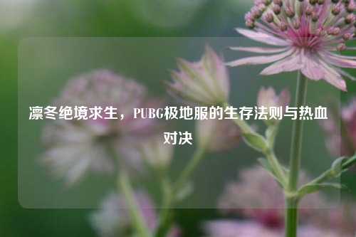 凛冬绝境求生,PUBG极地服的生存法则与热血对决
