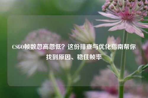 CSGO帧数忽高忽低?这份排查与优化指南帮你找到原因、稳住帧率