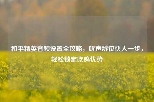 和平精英音频设置全攻略，听声辨位快人一步，轻松锁定吃鸡优势