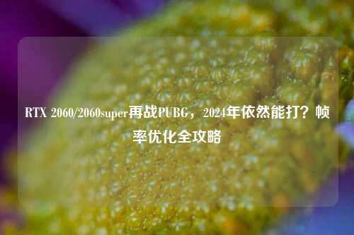 RTX 2060/2060super再战PUBG,2024年依然能打?帧率优化全攻略