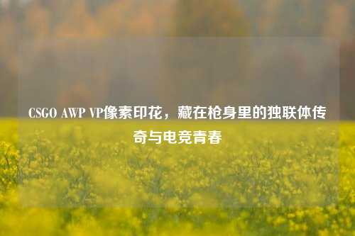 CSGO AWP VP像素印花,藏在枪身里的独联体传奇与电竞青春