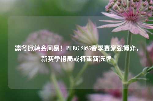 凛冬掀转会风暴!PUBG 2025春季赛豪强博弈,新赛季格局或将重新洗牌