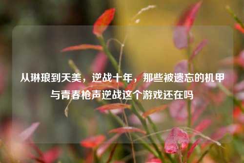 从琳琅到天美,逆战十年,那些被遗忘的机甲与青春枪声逆战这个游戏还在吗