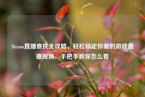 Steam直播查找全攻略，轻松锁定你爱的游戏直播现场，手把手教你怎么看