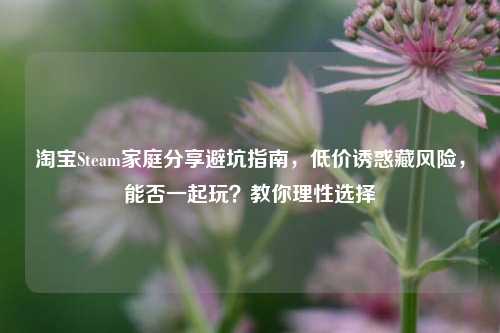 淘宝Steam家庭分享避坑指南，低价诱惑藏风险，能否一起玩？教你理性选择