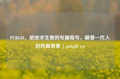 PUBG88,绝地求生里的专属暗号,藏着一代人的热血青春 | pubg88 xyz