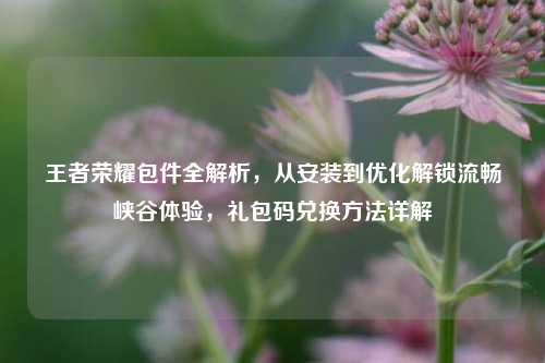 王者荣耀包件全解析,从安装到优化解锁流畅峡谷体验,礼包码兑换方法详解