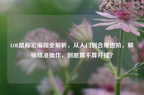 LOL鼠标宏编程全解析,从入门到合规进阶,解锁精准操作,到底算不算开挂?