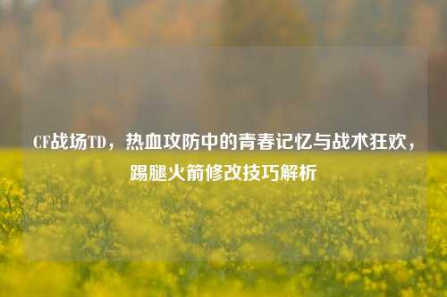 CF战场TD，热血攻防中的青春记忆与战术狂欢，踢腿火箭修改技巧解析