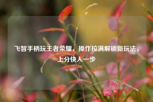 飞智手柄玩王者荣耀，操作拉满解锁新玩法，上分快人一步