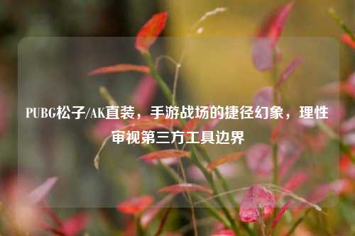 PUBG松子/AK直装，手游战场的捷径幻象，理性审视第三方工具边界