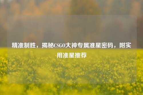 精准制胜,揭秘CSGO大神专属准星密码,附实用准星推荐
