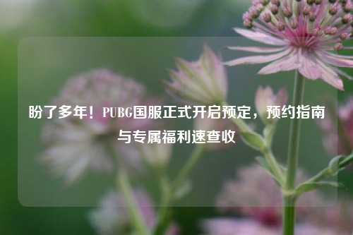 盼了多年!PUBG国服正式开启预定,预约指南与专属福利速查收