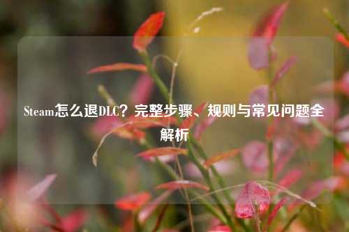 Steam怎么退DLC?完整步骤、规则与常见问题全解析