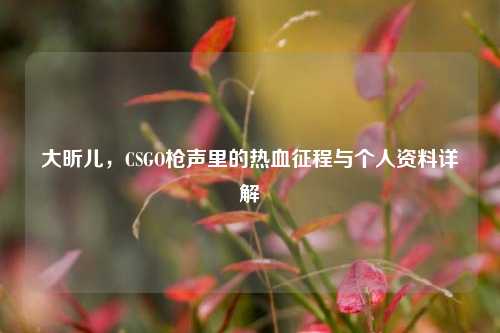大昕儿，CSGO枪声里的热血征程与个人资料详解