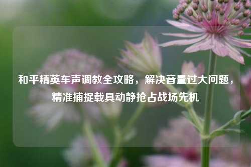 和平精英车声调教全攻略,解决音量过大问题,精准捕捉载具动静抢占战场先机