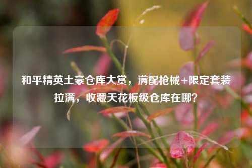 和平精英土豪仓库大赏,满配枪械+限定套装拉满,收藏天花板级仓库在哪?