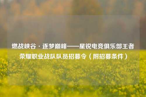 燃战峡谷·逐梦巅峰——星锐电竞俱乐部王者荣耀职业战队队员招募令(附招募条件)