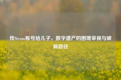 传Steam账号给儿子,数字遗产的困境审视与破局路径