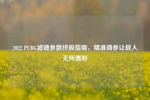 2022 PUBG滤镜参数终极指南，精准调参让敌人无所遁形