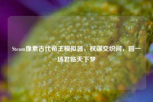 Steam像素古代帝王模拟器,权谋交织间,圆一场君临天下梦
