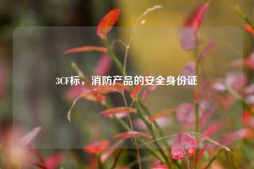 3CF标，消防产品的安全身份证