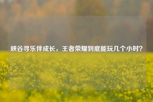 峡谷寻乐伴成长,王者荣耀到底能玩几个小时?