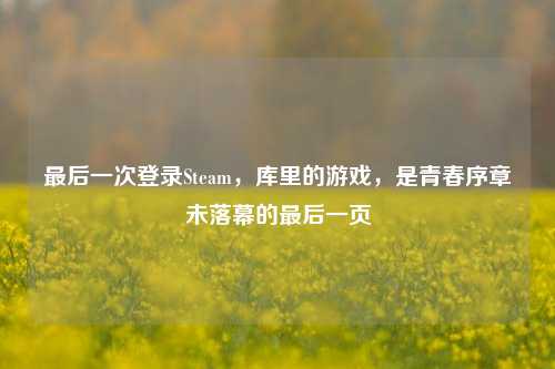 最后一次登录Steam,库里的游戏,是青春序章未落幕的最后一页