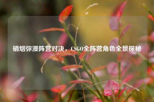 硝烟弥漫阵营对决,CSGO全阵营角色全景探秘