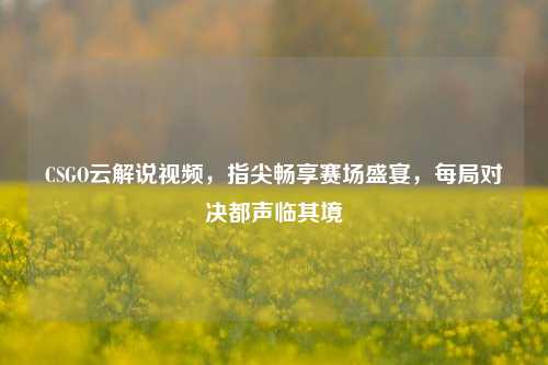 CSGO云解说视频,指尖畅享赛场盛宴,每局对决都声临其境