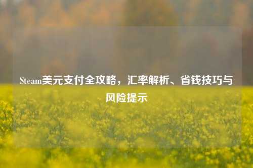 Steam美元支付全攻略,汇率解析、省钱技巧与风险提示