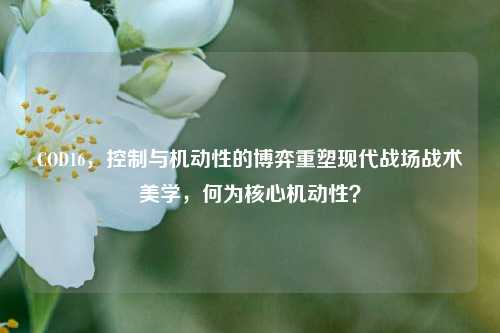 COD16,控制与机动性的博弈重塑现代战场战术美学,何为核心机动性?