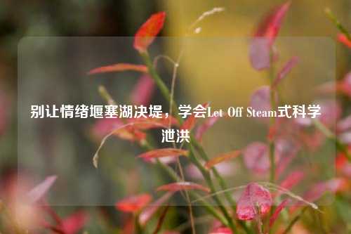 别让情绪堰塞湖决堤,学会Let Off Steam式科学泄洪