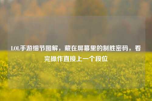 LOL手游细节图解,藏在屏幕里的制胜密码,看完操作直接上一个段位