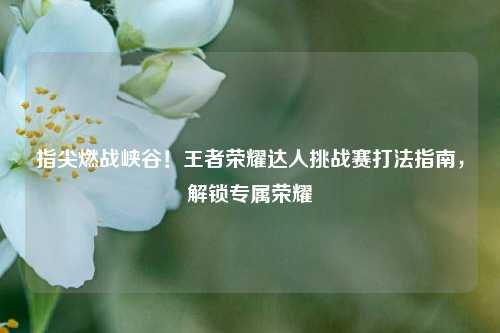 指尖燃战峡谷！王者荣耀达人挑战赛打法指南，解锁专属荣耀